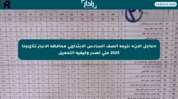 «عاجل الآن» نتيجة الصف السادس الابتدائي محافظة الأنبار نتائجنا 2025 متى تصدر وكيفية التحميل